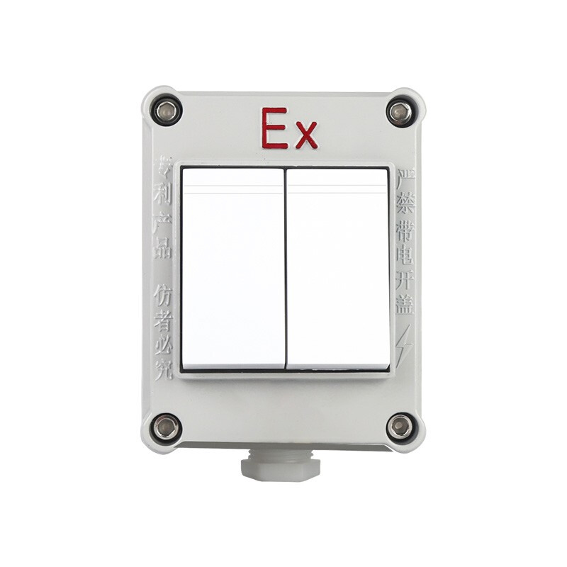 專業解析 工業級防爆照明開關——安全、可靠、多功能的電氣控制核心